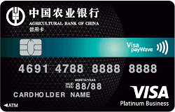 農(nóng)業(yè)銀行全球支付芯片卡 白金卡(VISA)