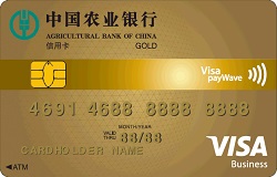 農(nóng)業(yè)銀行全球支付芯片卡 金卡(VISA)